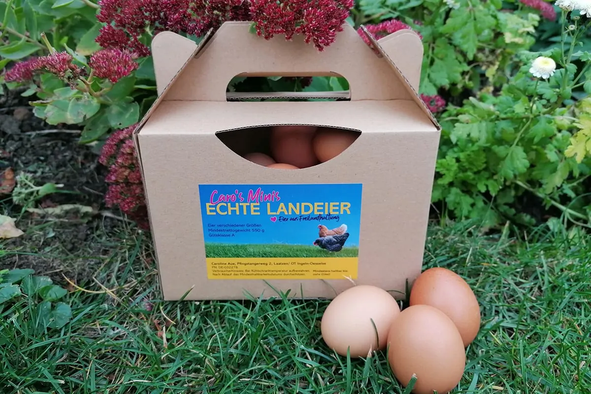 Kleine Landeier – die Minis