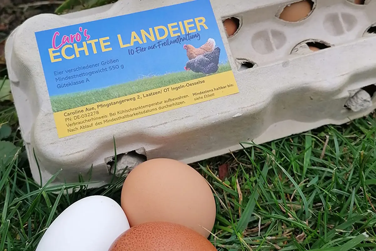 10er-Karton mit frischen Landeiern