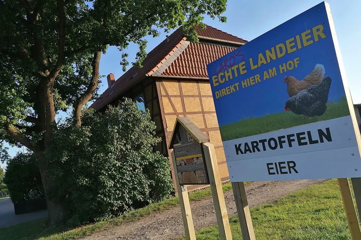 Hühner auf der Wiese