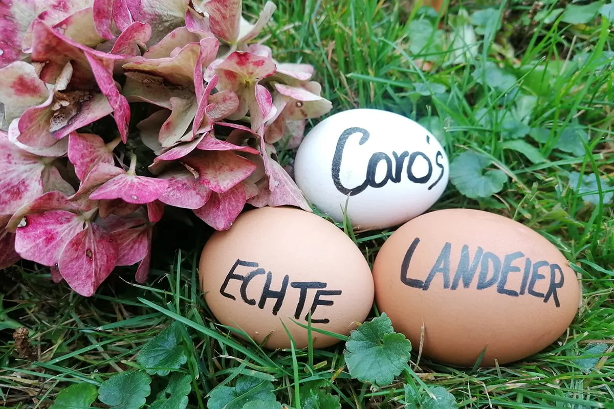 Bemalte Eier mit dem Schriftzug Caro&rsquo;s Echte Landeier