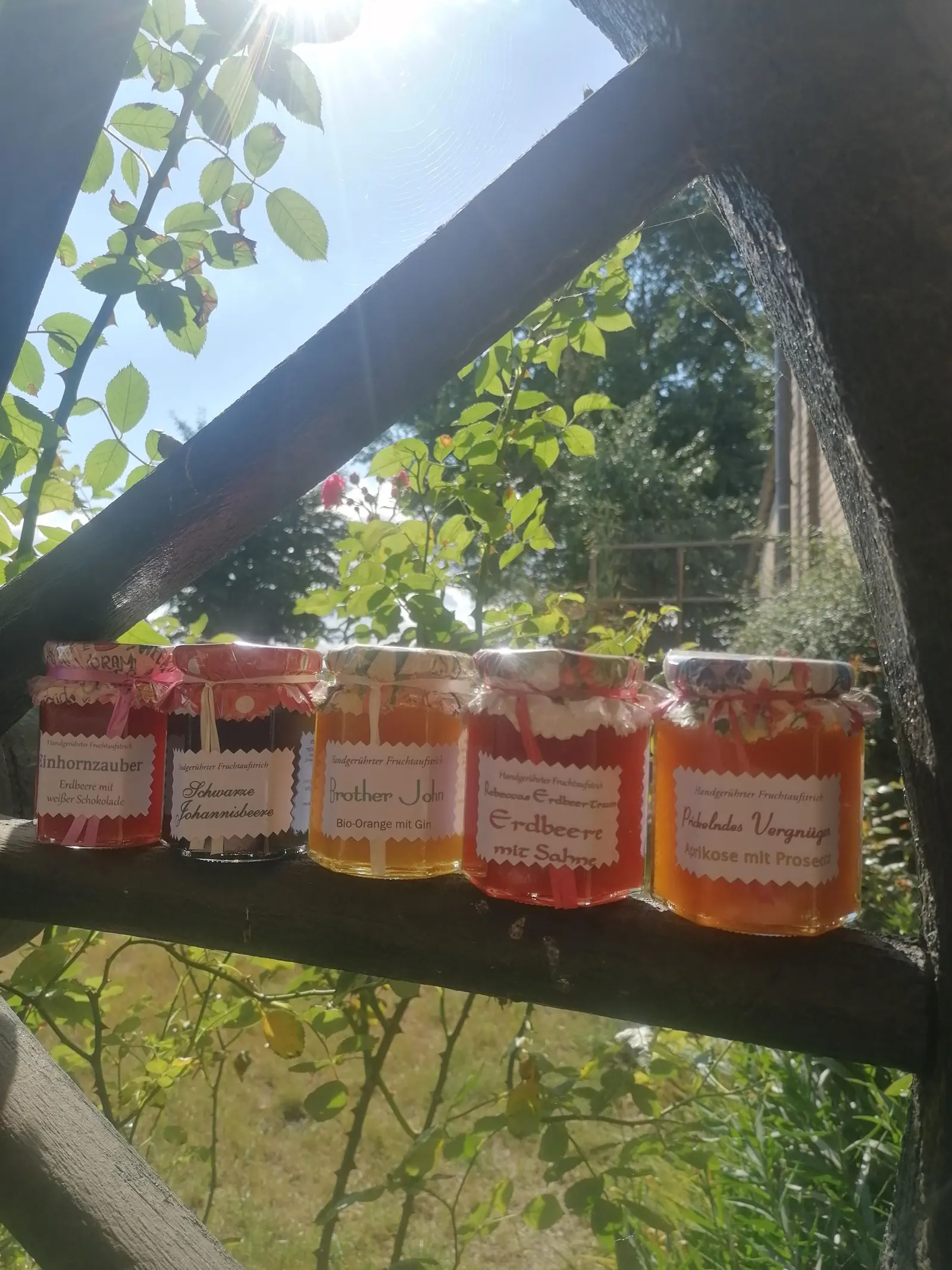 Fruchtaufstrich aus der Region im Glas